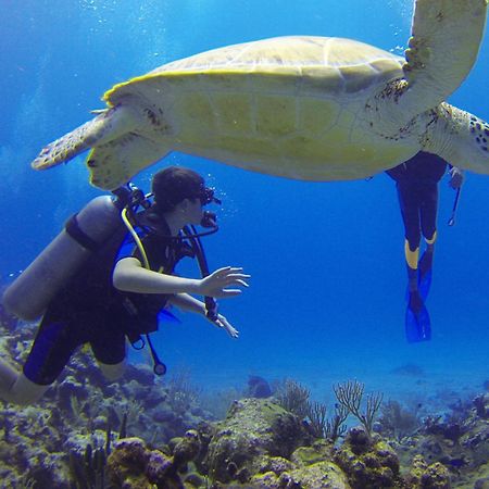 Roxon Red Sea Eilat - Adults Only Ξενοδοχείο Εξωτερικό φωτογραφία